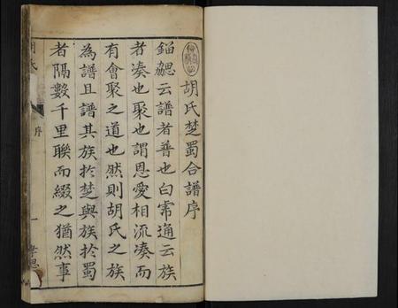 湖南胡氏族谱-胡氏族谱 [1卷].pdf电子版插图1