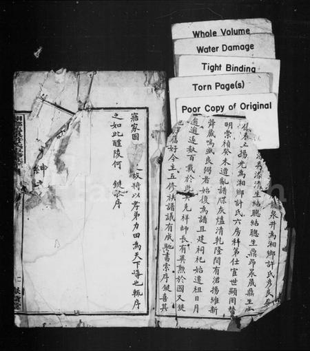 湖南许氏族谱-湘乡龙泉许氏五修族谱 [25卷].pdf电子版插图4