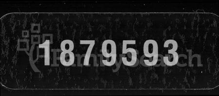 湖南黄氏族谱-上湘蒿子坪黄氏四修族谱 [9卷,首2卷].pdf电子版
