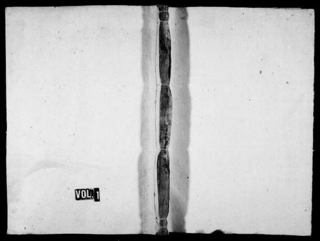 湖南黄氏族谱-梅溪黄氏九修族谱 [21卷].pdf电子版插图1