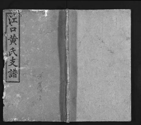 湖南黄氏族谱-江口黄氏支谱 [4卷,首2卷].pdf电子版插图1