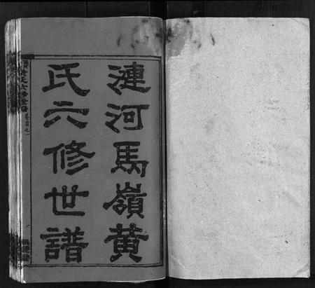 湖南黄氏族谱-涟河马岭黄氏六修世谱[卷数不详].pdf电子版插图2