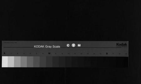 湖南黄氏族谱-蒿子坪黄氏族谱 [12卷,首4卷].pdf电子版