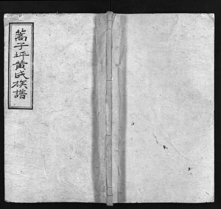 湖南黄氏族谱-蒿子坪黄氏族谱 [12卷,首4卷].pdf电子版插图1