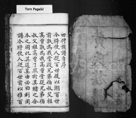 湖南黄氏族谱-黄氏族谱 [10卷,首2卷].pdf电子版插图2