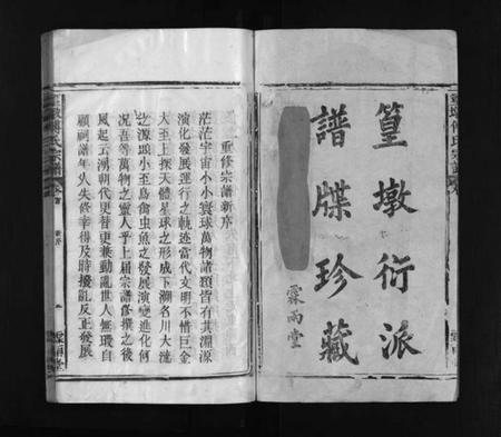 江西傅氏族谱-篁墩傅氏宗谱 [12卷,首末各1卷].pdf电子版插图2