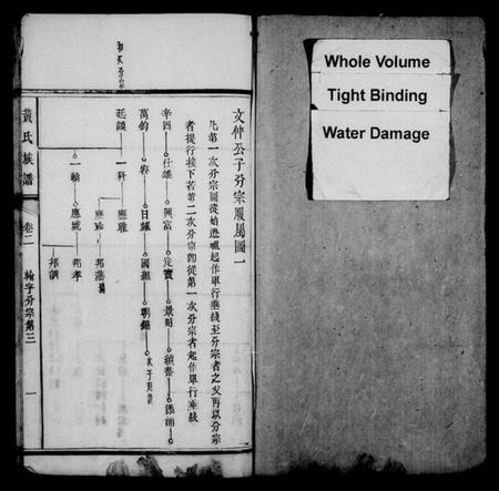 湖南黄氏族谱-黄氏族谱 [15卷,首1卷].pdf电子版插图2