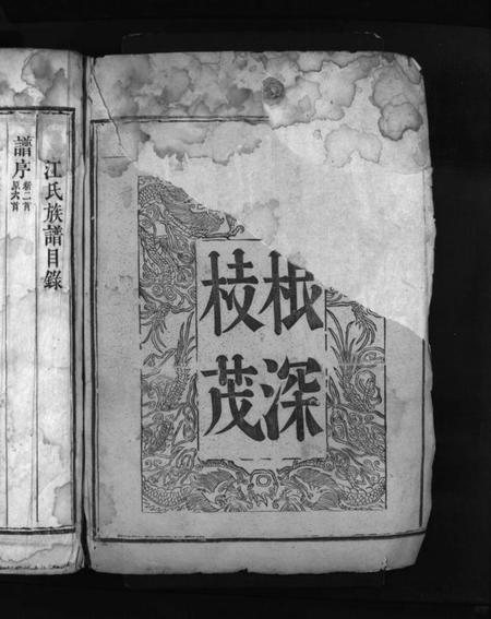 湖南江氏族谱-江氏族谱 [不分卷].pdf电子版插图2