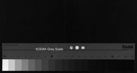 湖南江氏族谱-江氏族谱[总卷数不详].pdf电子版