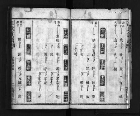 湖南江氏族谱-江氏族谱[总卷数不详].pdf电子版插图3