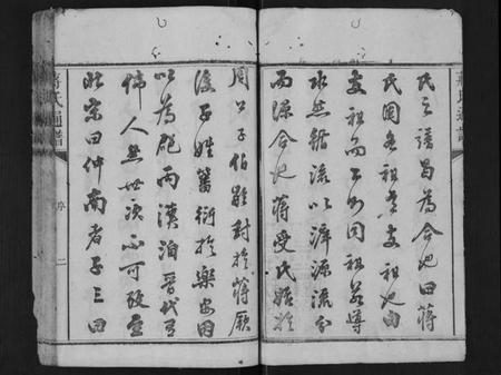 湖南蒋氏族谱-蒋氏族谱[不分卷].pdf电子版插图2