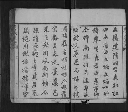 湖南蒋氏族谱-蒋氏族谱[不分卷].pdf电子版插图3