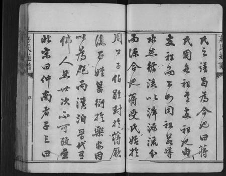 湖南蒋氏族谱-蒋氏族谱[不分卷].pdf电子版插图2