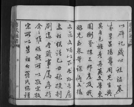 湖南蒋氏族谱-蒋氏族谱[不分卷].pdf电子版插图4