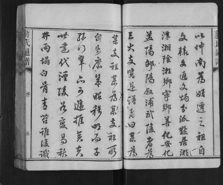 湖南蒋氏族谱-蒋氏族谱[不分卷].pdf电子版插图5