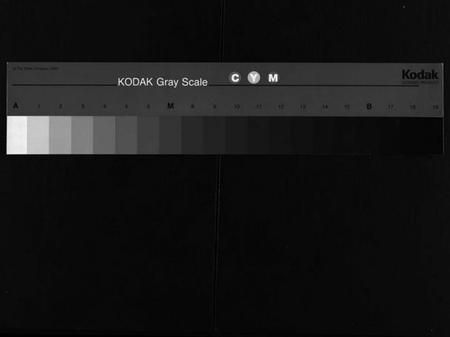 湖南蒋氏族谱-蒋氏通谱 [10卷,首4卷].pdf电子版