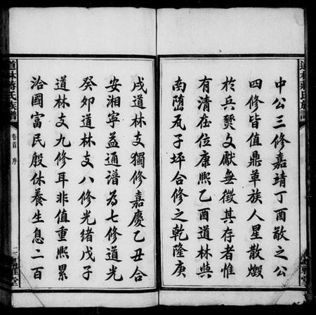 湖南蒋氏族谱-道林蒋氏族谱 [17卷,首1卷].pdf电子版插图4