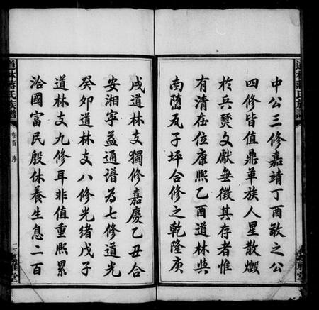 湖南蒋氏族谱-道林蒋氏族谱 [17卷,首1卷].pdf电子版插图5