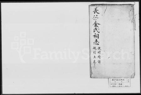 湖南金氏族谱-金氏祠志.pdf电子版插图1