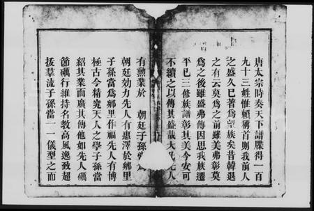 湖南赖氏族谱-赖氏族谱 [10卷,首1卷].pdf电子版插图4