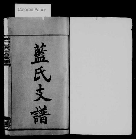 湖南蓝氏族谱-醴西蓝氏三修支谱 [4卷,首1卷].pdf电子版插图2