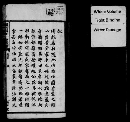 湖南蓝氏族谱-醴西蓝氏三修支谱 [4卷,首1卷].pdf电子版插图4