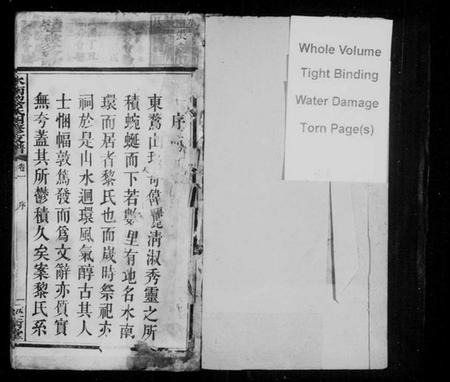 湖南黎氏族谱-水南黎氏四修支谱 [10卷].pdf电子版插图2