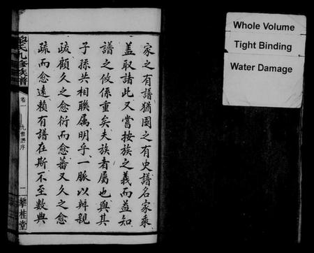 湖南黎氏族谱-黎氏九修族谱 [14卷].pdf电子版插图4