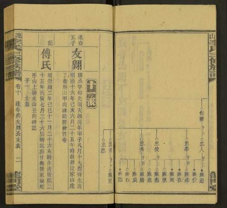 湖南李氏族谱-上湘李氏族谱 [42卷,首3卷,末1卷].pdf电子版插图2