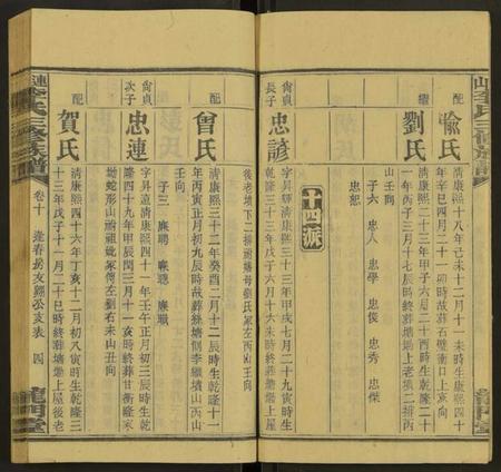 湖南李氏族谱-上湘李氏族谱 [42卷,首3卷,末1卷].pdf电子版插图4