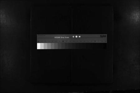 湖南李氏族谱-常丰十甲李氏族谱 [不分卷].pdf电子版