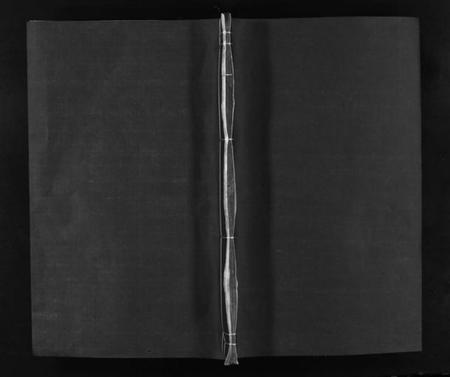 湖南李氏族谱-常丰十甲李氏族谱 [不分卷].pdf电子版插图1