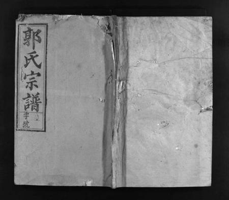 江西郭氏族谱-郭氏宗谱 [14卷,首1卷].pdf电子版插图1