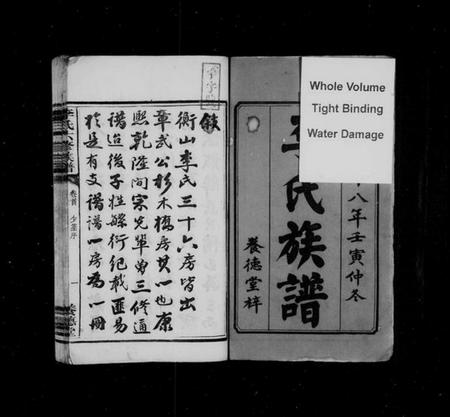 湖南李氏族谱-杉木桥李氏六修族谱 [16卷,含卷首].pdf电子版插图3