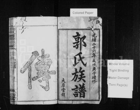 江西郭氏族谱-郭氏族谱 [17卷,首1卷].pdf电子版插图2