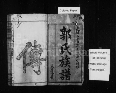 江西郭氏族谱-郭氏族谱 [17卷,首1卷].pdf电子版插图3