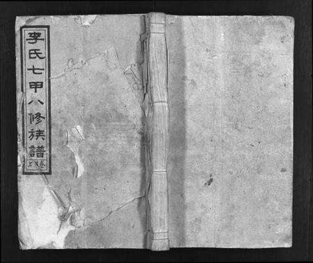 湖南李氏族谱-李氏七甲八修族谱 [16卷,首2卷].pdf电子版插图1