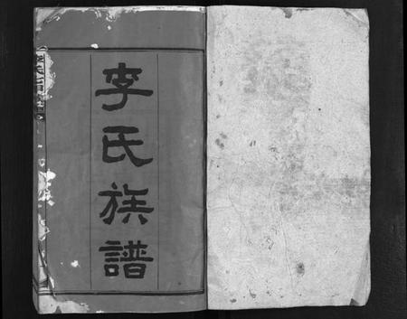 湖南李氏族谱-李氏七甲八修族谱 [16卷,首2卷].pdf电子版插图2