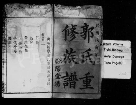 江西郭氏族谱-郭氏重修族谱 [7卷,及卷首末].pdf电子版插图3