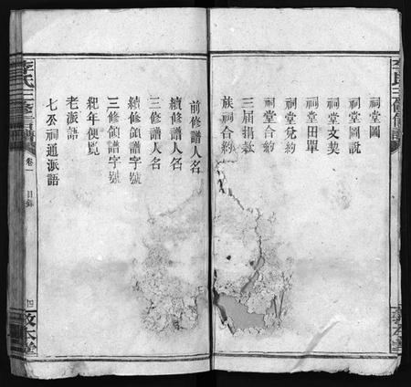 湖南李氏族谱-李氏三修信谱[8卷,首3卷].pdf电子版插图4