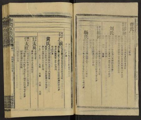 湖南李氏族谱-李氏五修族谱 [29卷,首末各1卷].pdf电子版插图2