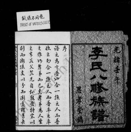 湖南李氏族谱-李氏八修族谱 [20卷,首末各1卷].pdf电子版插图3