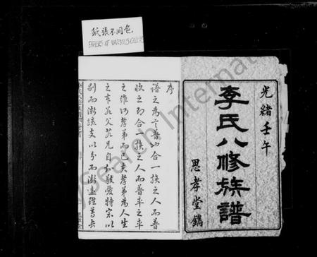 湖南李氏族谱-李氏八修族谱 [20卷,首末各1卷].pdf电子版插图4