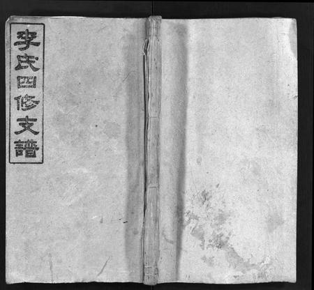 湖南李氏族谱-李氏四修支谱 [17卷,首末各1卷].pdf电子版插图1