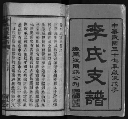 湖南李氏族谱-李氏四修支谱 [17卷,首末各1卷].pdf电子版插图2