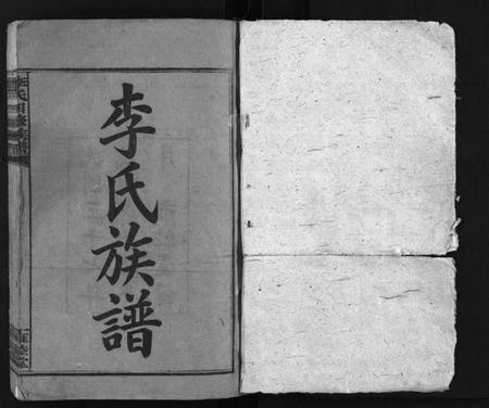 湖南李氏族谱-李氏四修族谱 [22卷,首2卷].pdf电子版插图2