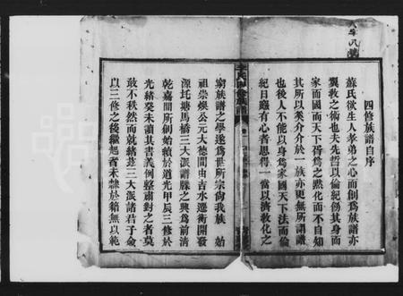 湖南李氏族谱-李氏四修族谱 [9卷,首2卷].pdf电子版插图3