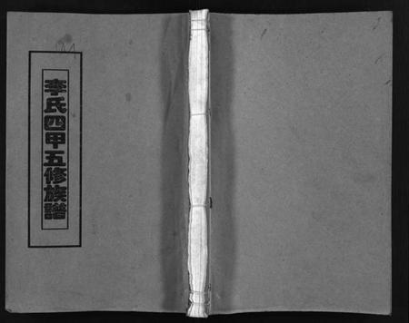 湖南李氏族谱-李氏四甲五修族谱 [27卷,首3卷].pdf电子版插图1