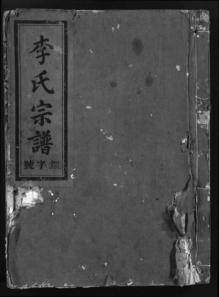 湖南李氏族谱-李氏宗谱 [不分卷].pdf电子版插图1