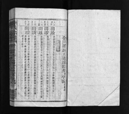 湖南李氏族谱-李氏宗谱 [残卷].pdf电子版插图2